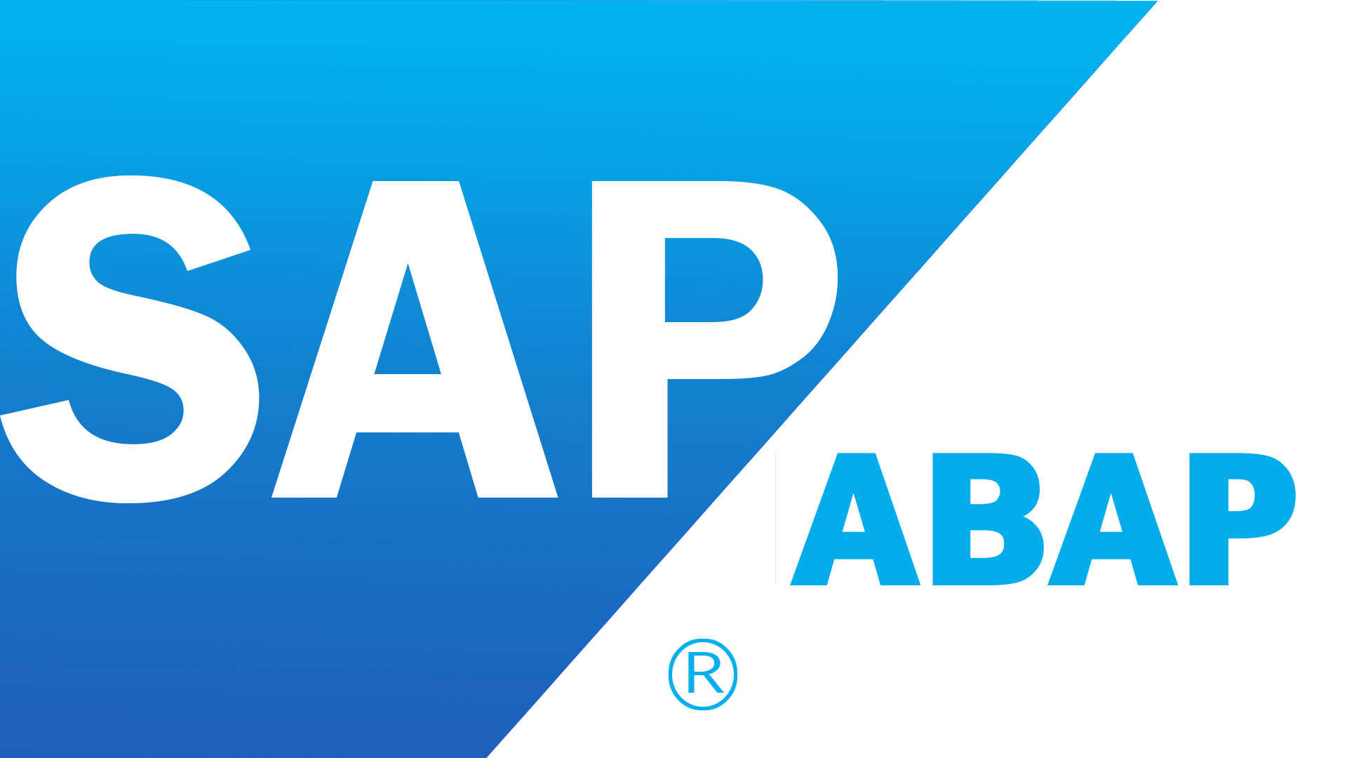 Интеграция Диадока для SAP. Документооборот в SAP ® ERP